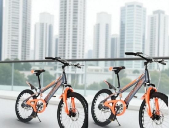 صورة دراجتين مقاس 20